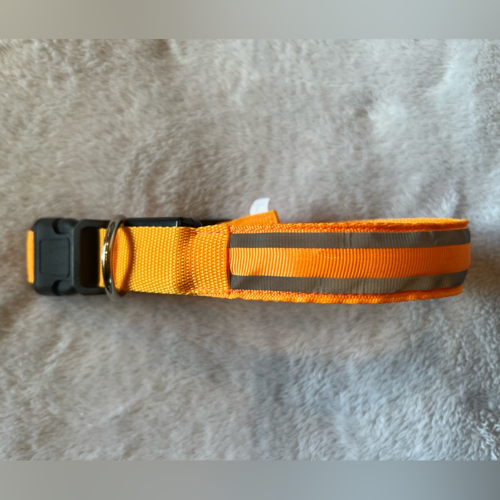 NWOT Large Dog Collar